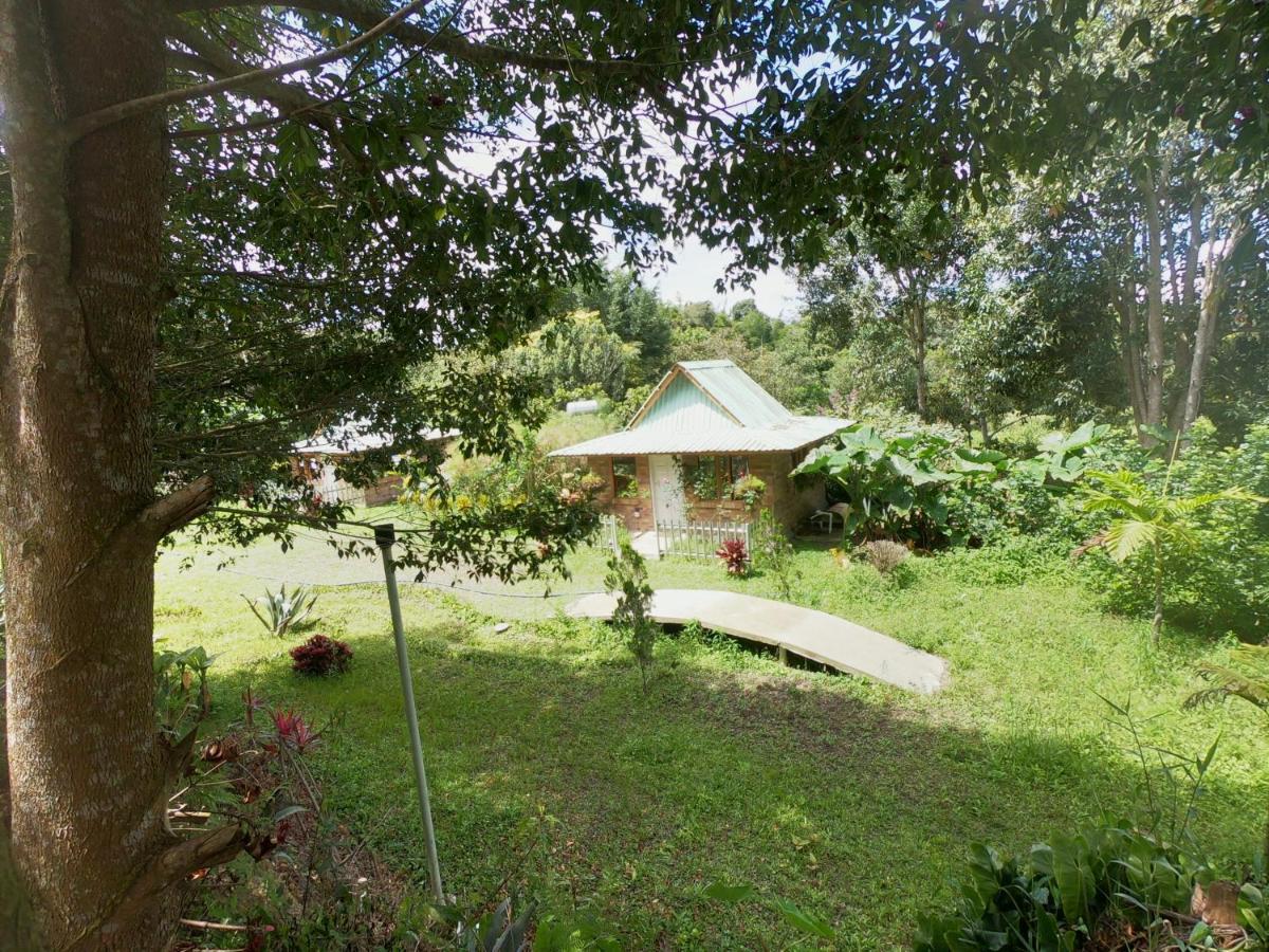 Tribu Ecohostal Лос Сантос Екстериор снимка