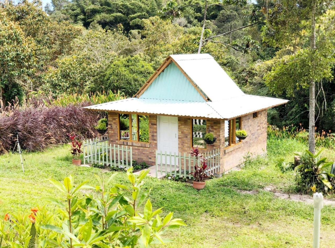 Tribu Ecohostal Лос Сантос Екстериор снимка