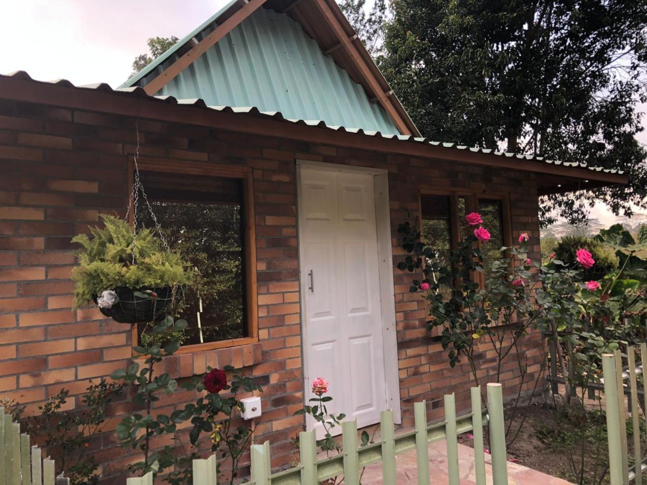 Tribu Ecohostal Лос Сантос Екстериор снимка